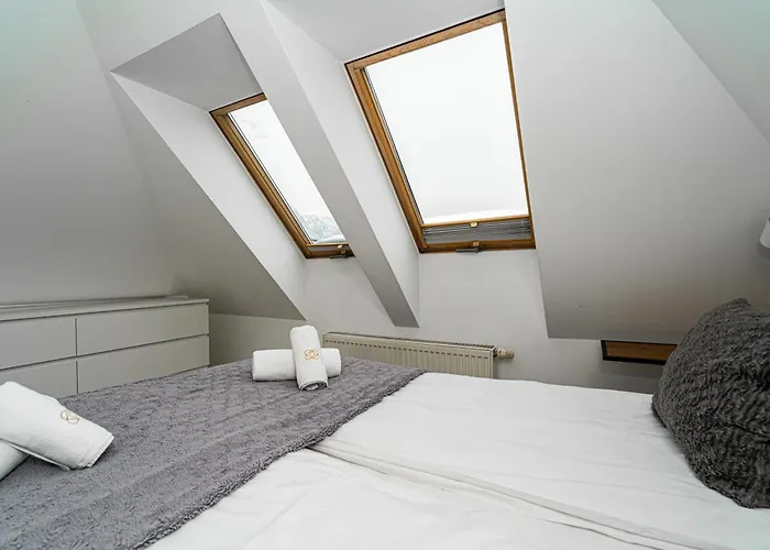 Brzozowa Centrum By Rentilopl